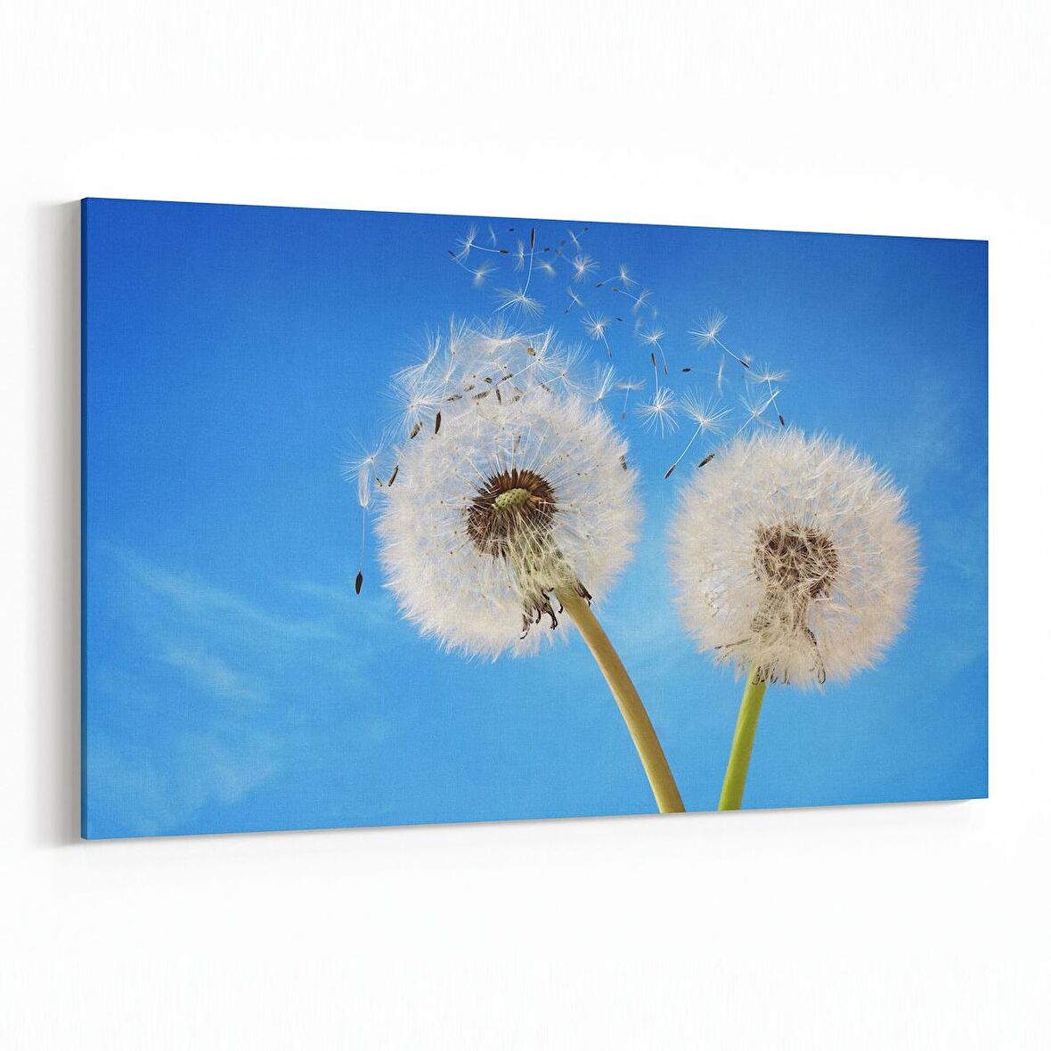 Olla 10739Y Ağaç Görseli Yatay Kanvas Tablo (Ölçü: 45X30)