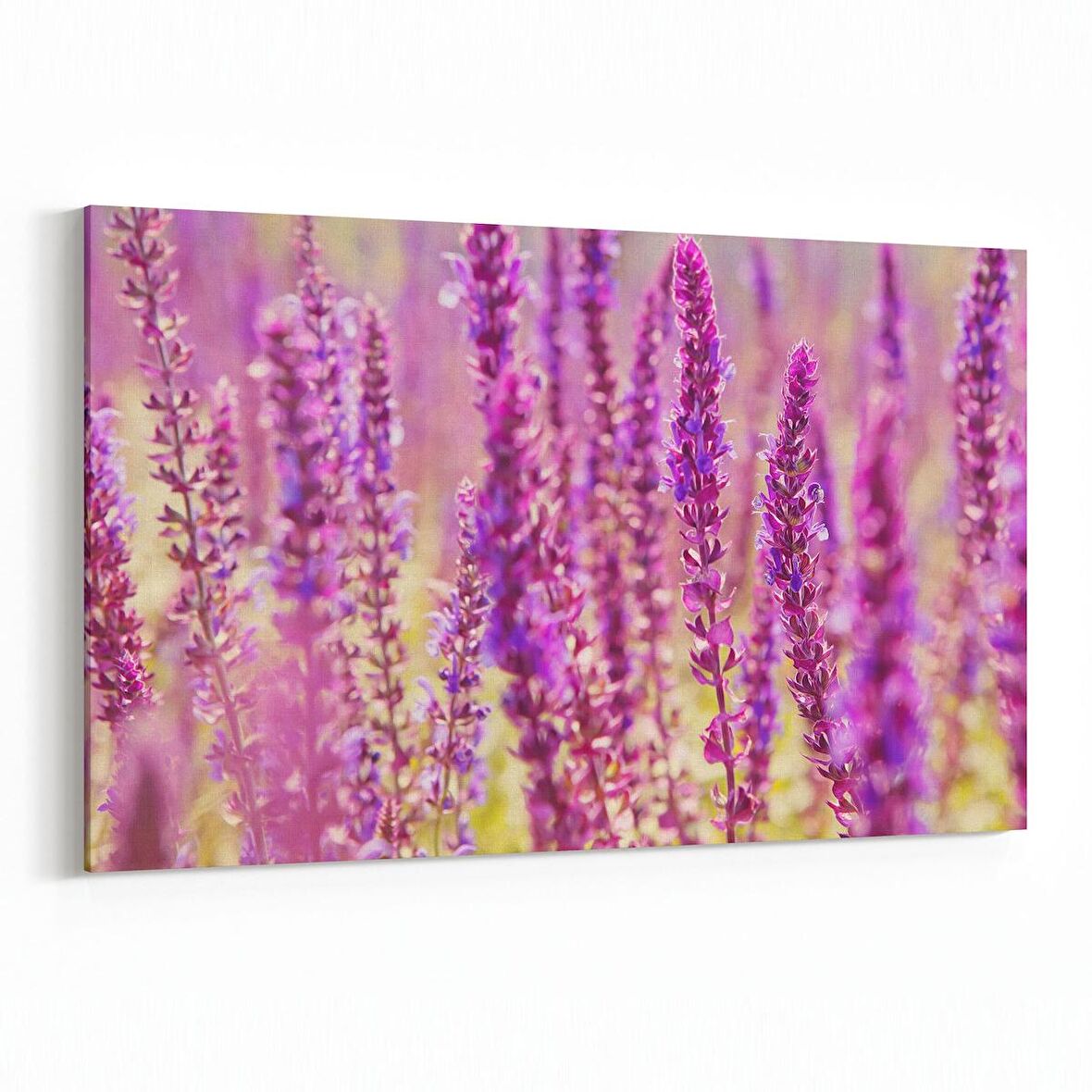 Olla 11578Y Çiçek Görseli Yatay Kanvas Tablo (Ölçü: 90X60)