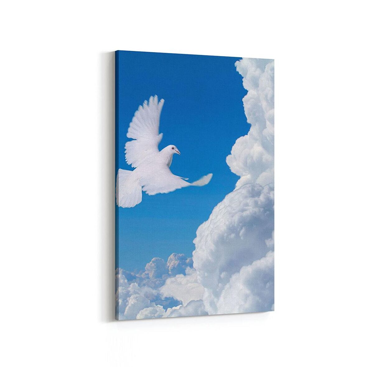 Olla 15830D Gökyüzü Kuşlar Görseli Dikey Kanvas Tablo (Ölçü: 20X30)