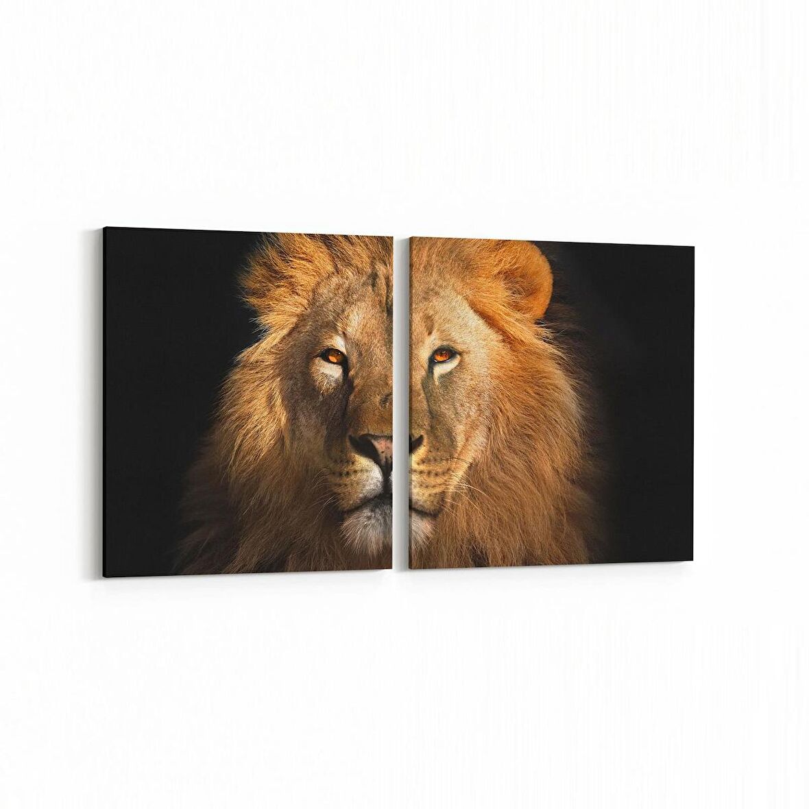 Olla 12634K2Y Hayvanlar Alemi Görseli Kare 2'li Yatay Kanvas Tablo (Ölçü: 125X60)