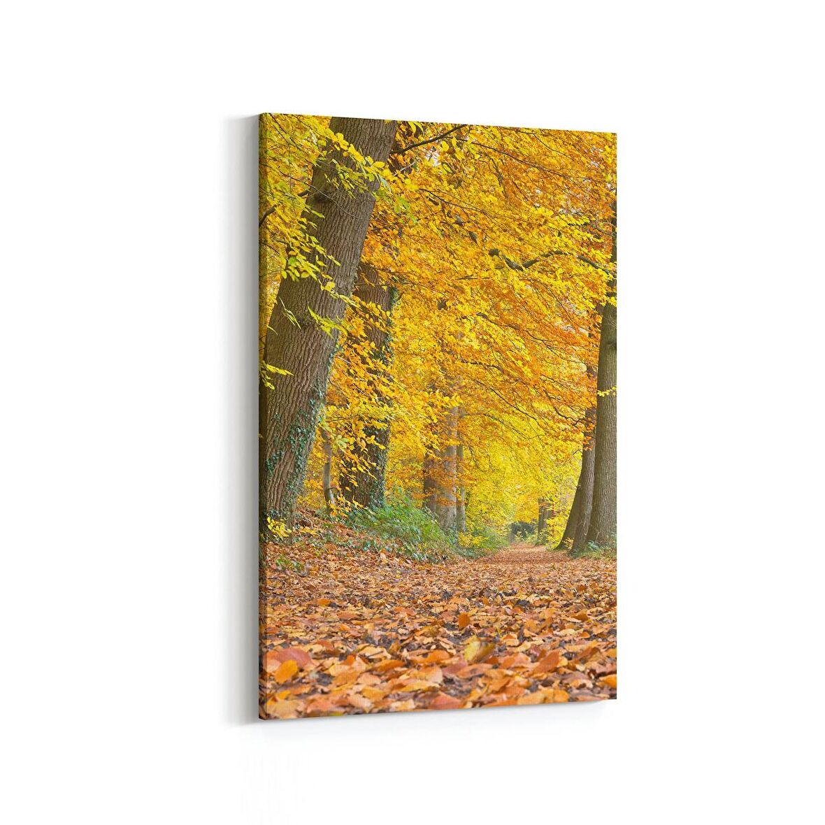 Olla 13540D Doğa / Manzara Görseli Dikey Kanvas Tablo (Ölçü: 20X30)