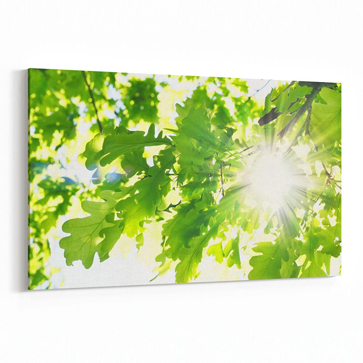 Olla 10568Y Ağaç Görseli Yatay Kanvas Tablo (Ölçü: 150X100)