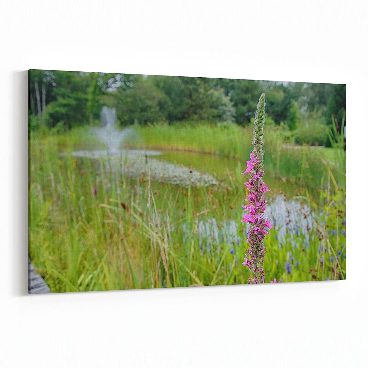 Olla 13829Y Doğa / Manzara Görseli Yatay Kanvas Tablo (Ölçü: 90X60)