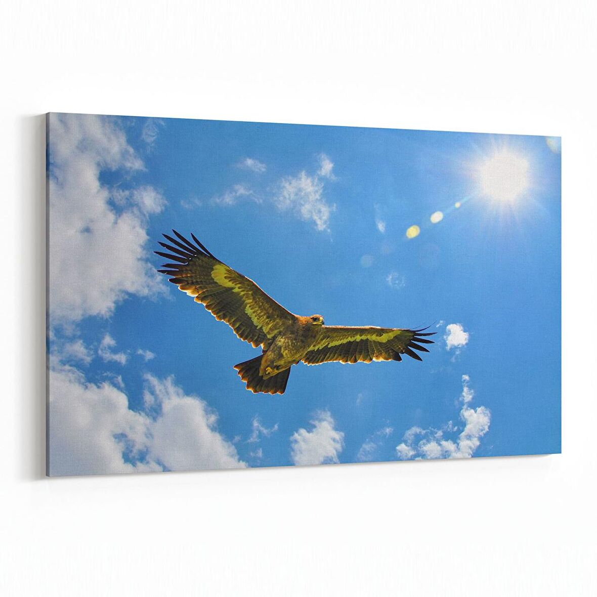 Olla 15838Y Gökyüzü Kuşlar Görseli Yatay Kanvas Tablo (Ölçü: 120X80)