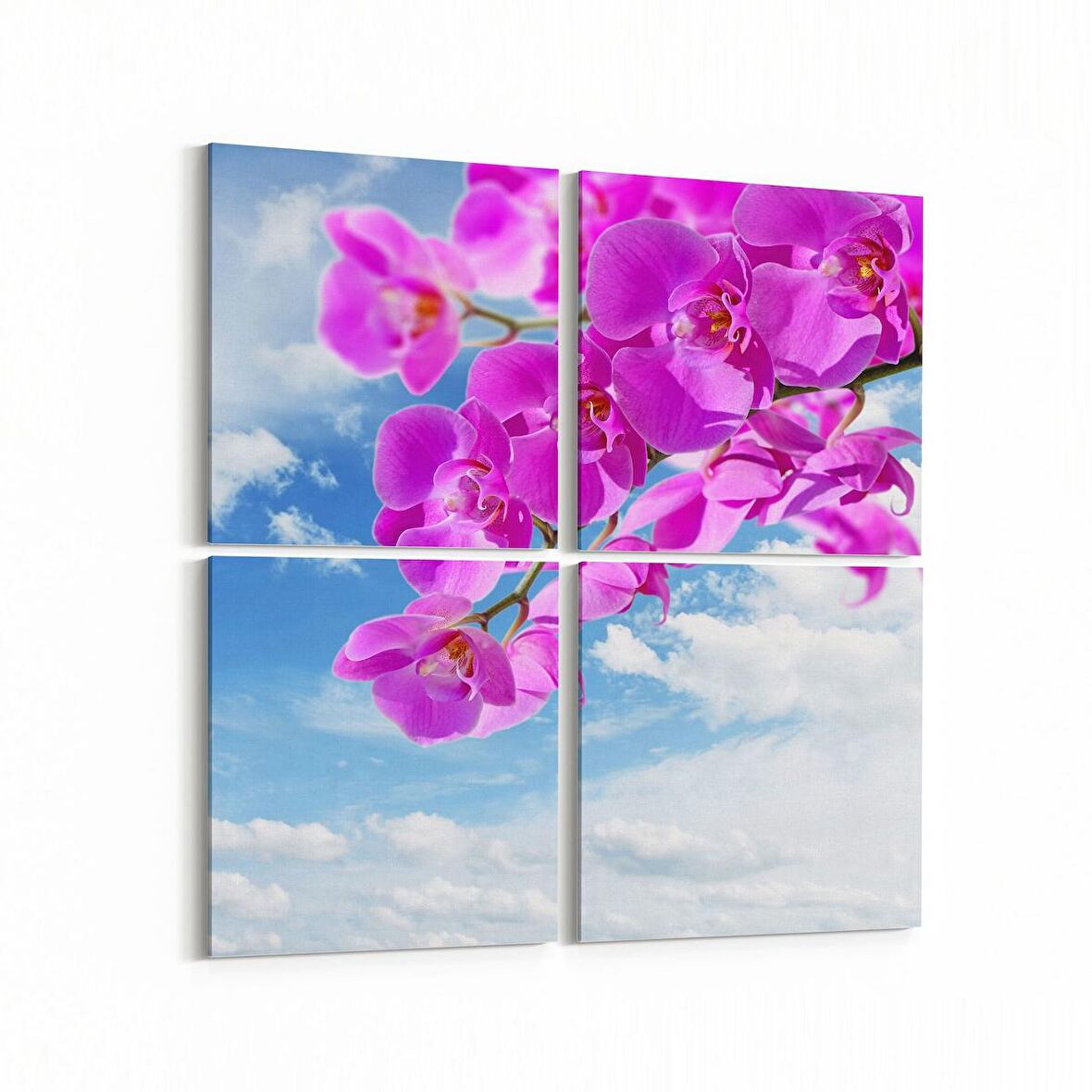 Olla 11713K4 Orkide Çiçek Görseli Kare 4'lü Kanvas Tablo (Ölçü: 145X145)