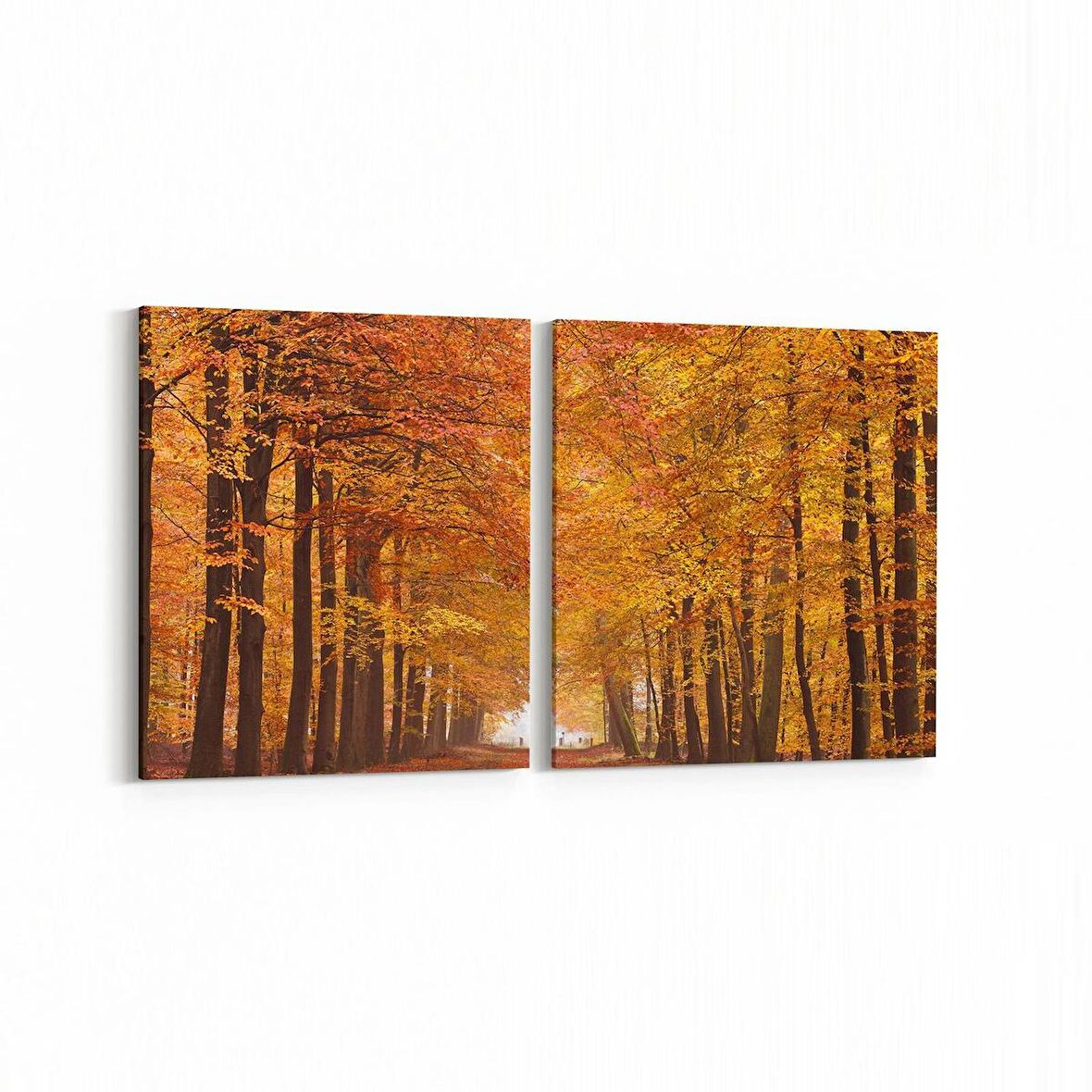 Olla 14561K2Y Doğa / Manzara Görseli Kare 2'li Yatay Kanvas Tablo (Ölçü: 125X60)