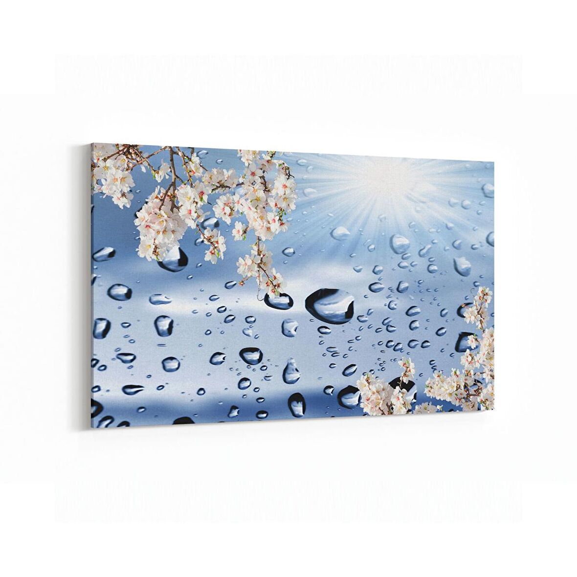 Olla 17228Y Su / Damla Görseli Yatay Kanvas Tablo (Ölçü: 30X20)
