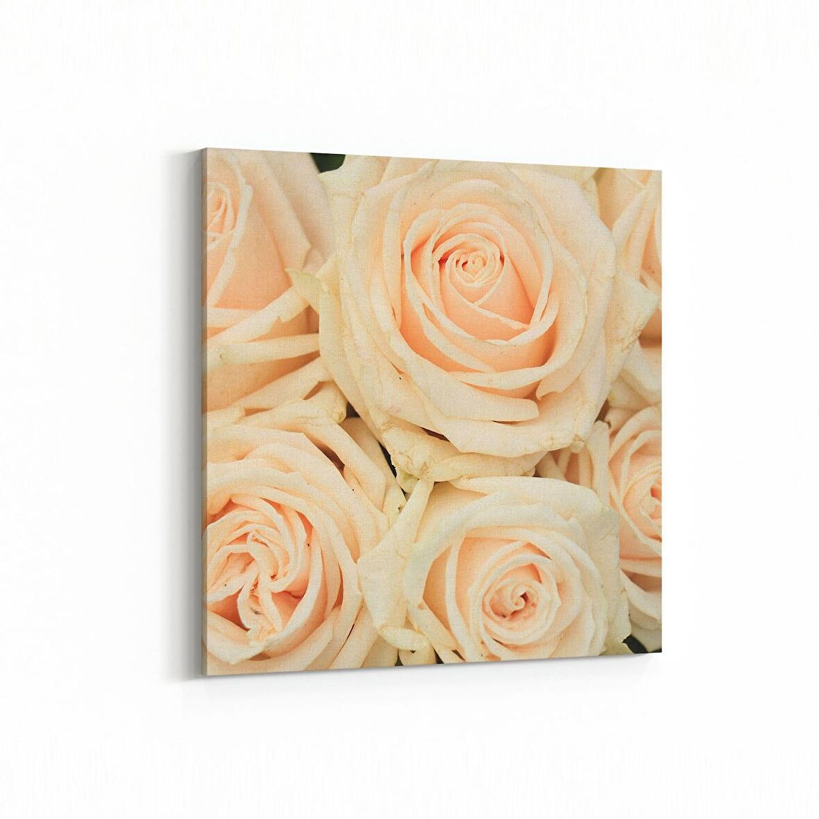 Olla 11619K Çiçek Görseli Kare Kanvas Tablo (Ölçü: 100X100)