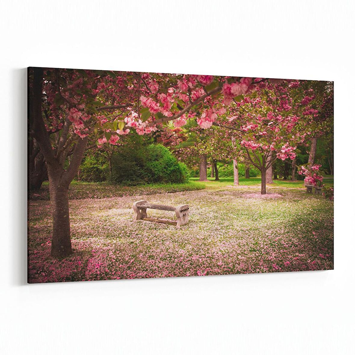 Olla 13447Y Doğa / Manzara Görseli Yatay Kanvas Tablo (Ölçü: 70X50)