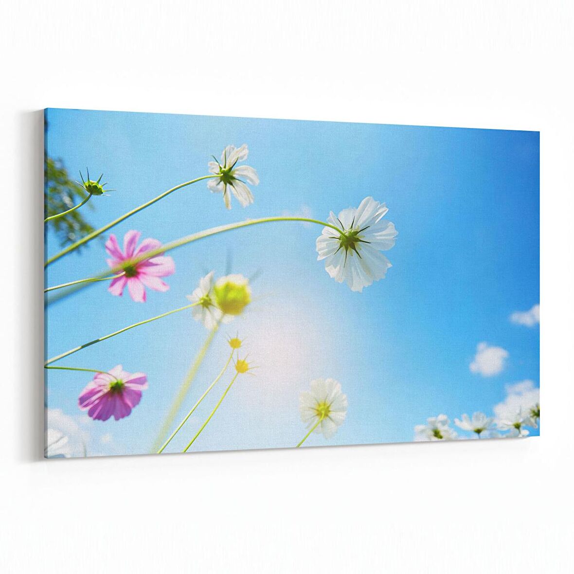 Olla 10848Y Ağaç Görseli Yatay Kanvas Tablo (Ölçü: 45X30)