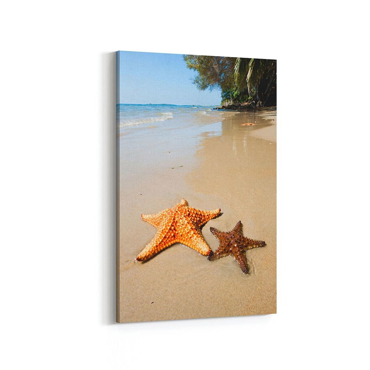 Olla 16347D Kumsal / Sahil Görseli Dikey Kanvas Tablo (Ölçü: 60X90)