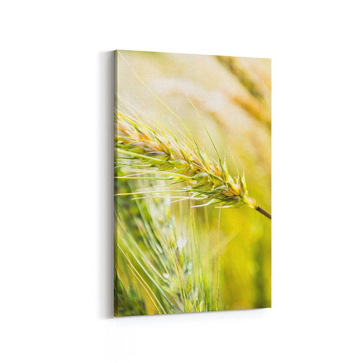 Olla 13670D Doğa / Manzara Görseli Dikey Kanvas Tablo (Ölçü: 20X30)