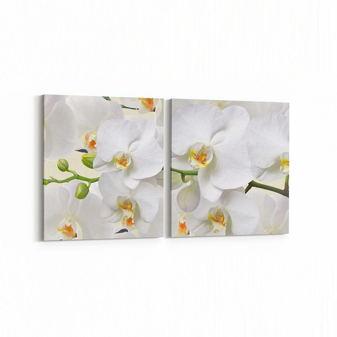 Olla 11733K2Y Orkide Çiçek Görseli 2'li Yatay Kanvas Tablo (Ölçü: 105X50)