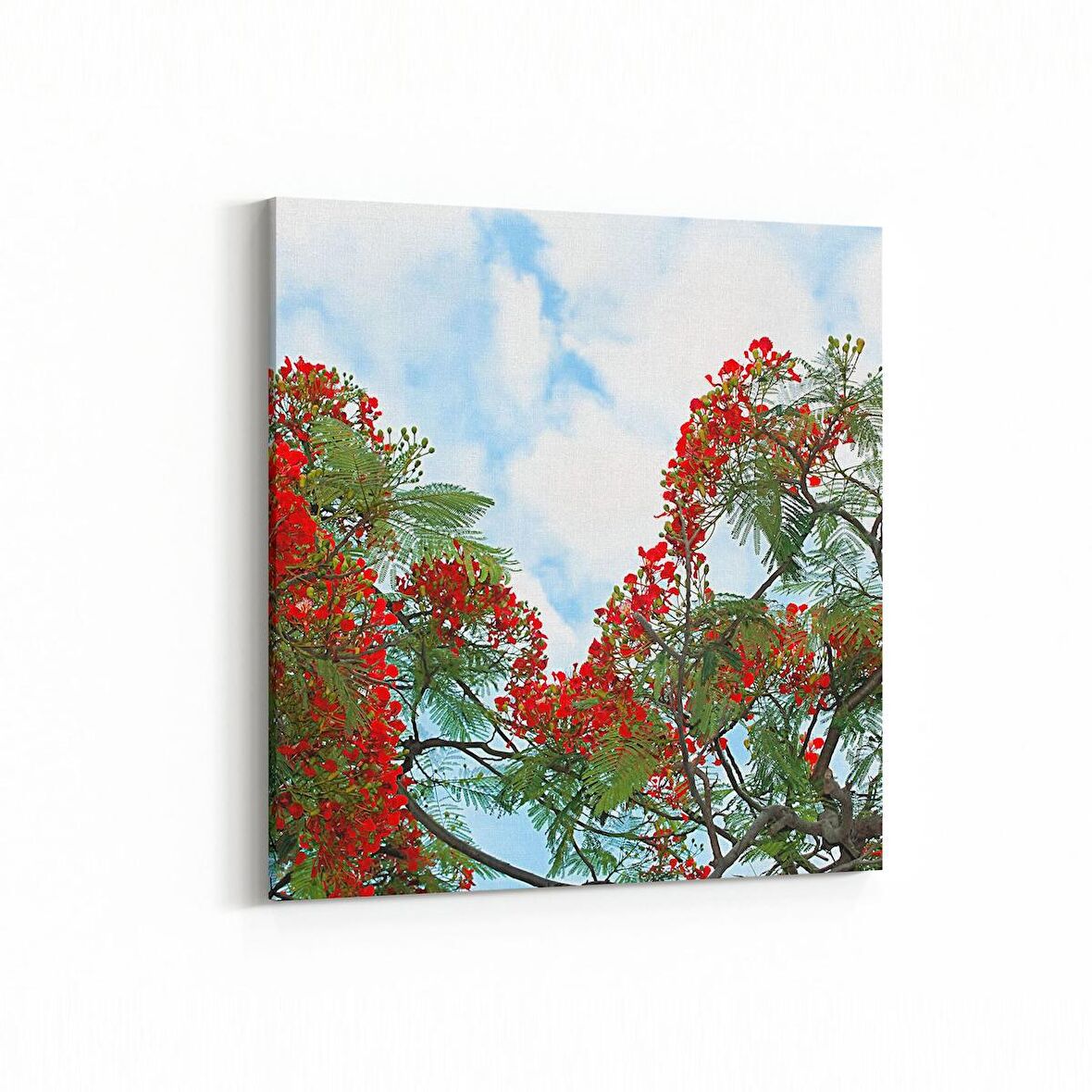 Olla 10596K Ağaç Görseli Kare Kanvas Tablo (Ölçü: 25X25)