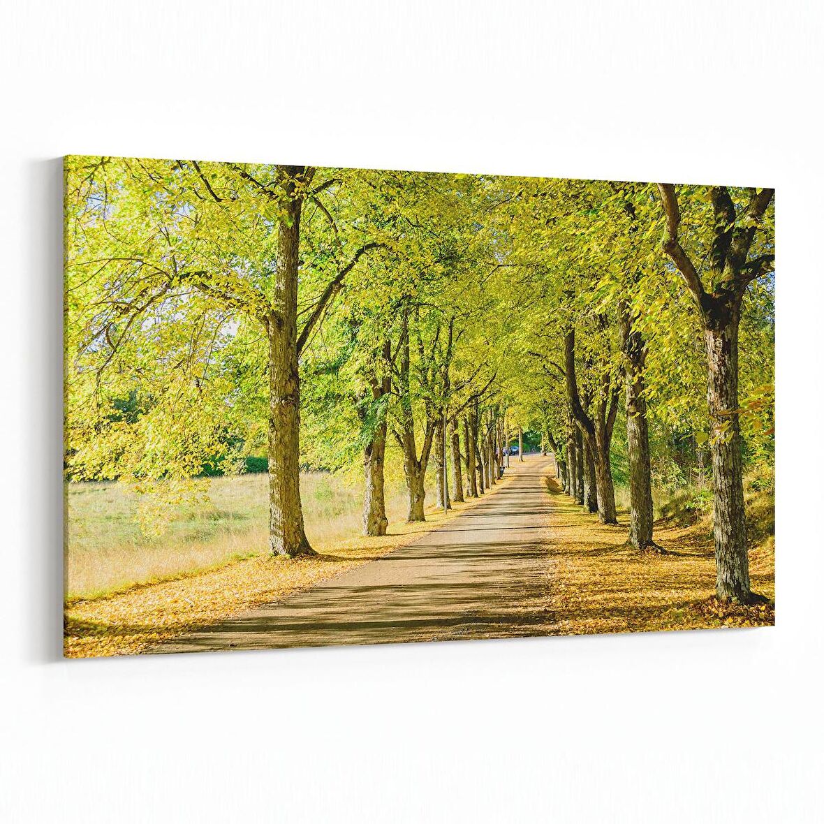 Olla 13285Y Doğa / Manzara Görseli Yatay Kanvas Tablo (Ölçü: 45X30)