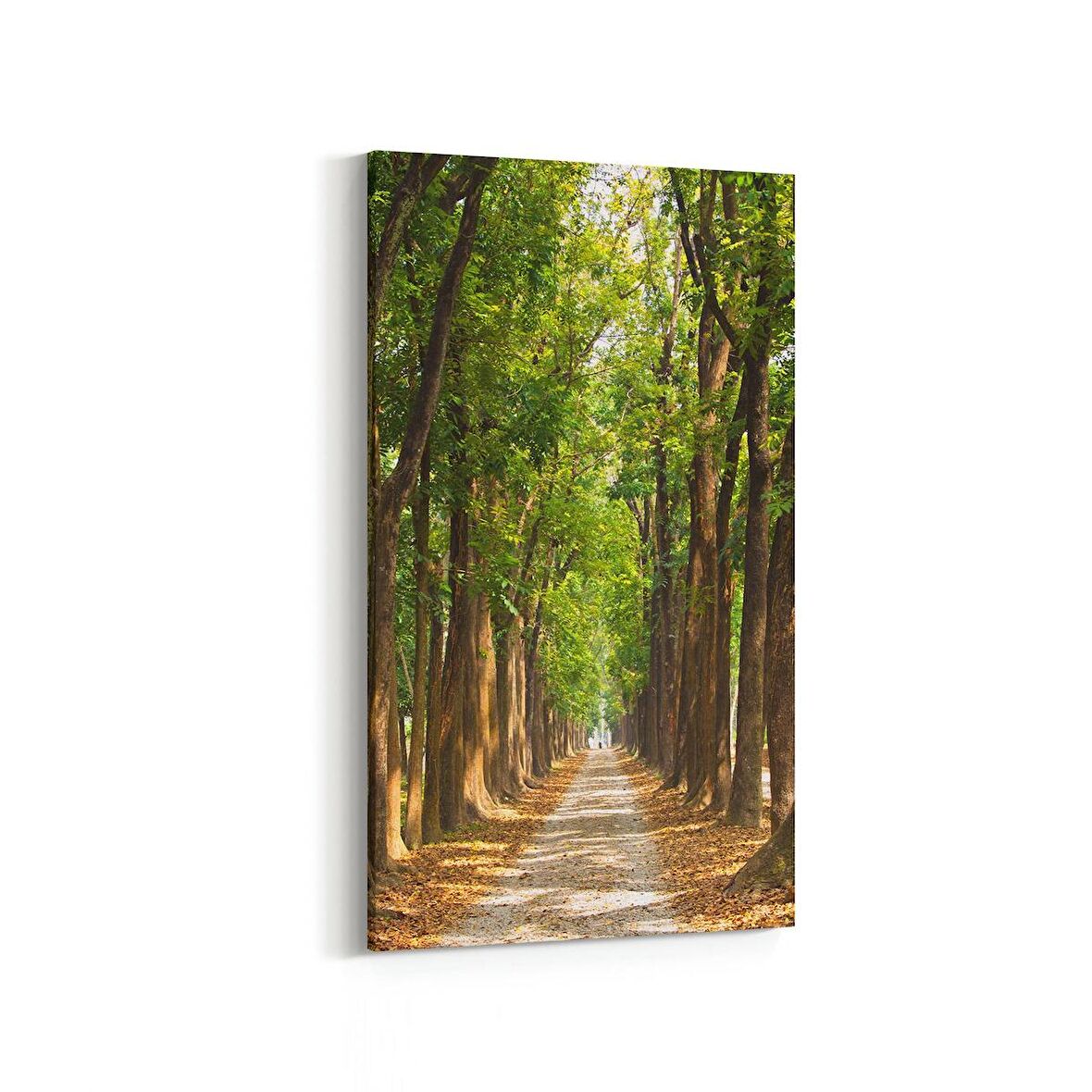 Olla 14624DD Doğa / Manzara Görseli Dikey Dar Kanvas Tablo (Ölçü: 40X80)