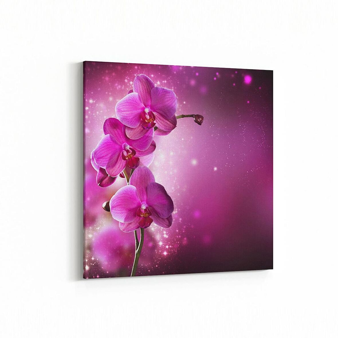 Olla 11748K Orkide Çiçek Görseli Kare Kanvas Tablo (Ölçü: 25X25)