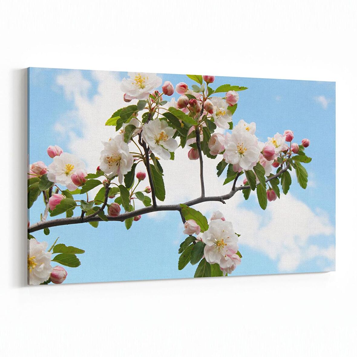 Olla 10966Y Ağaç Görseli Yatay Kanvas Tablo (Ölçü: 30X20)