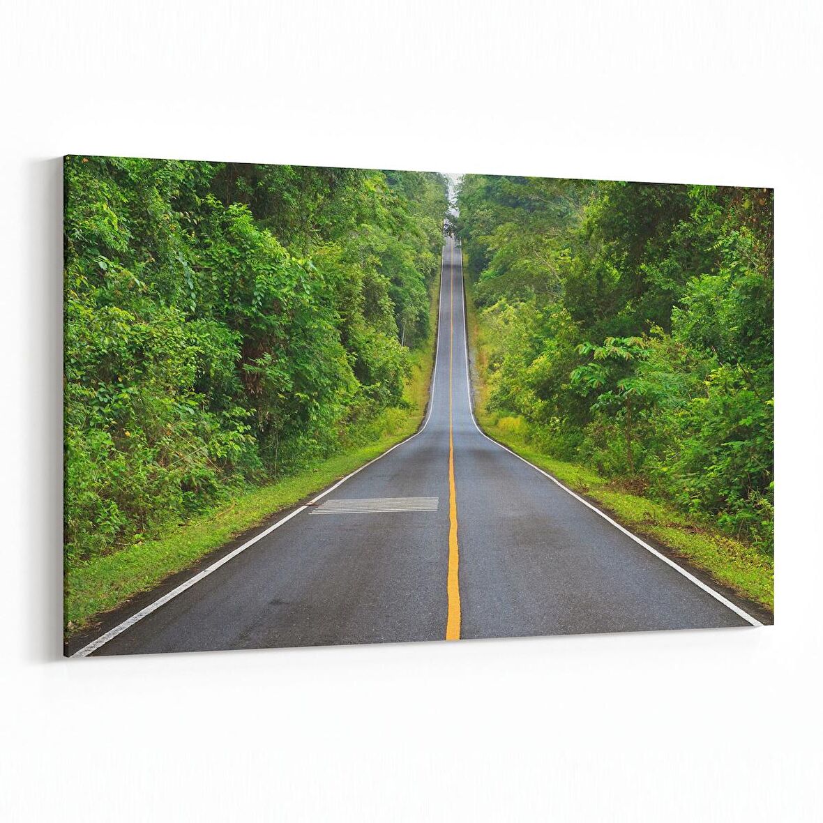 Olla 13267Y Doğa / Manzara Görseli Yatay Kanvas Tablo (Ölçü: 30X20)