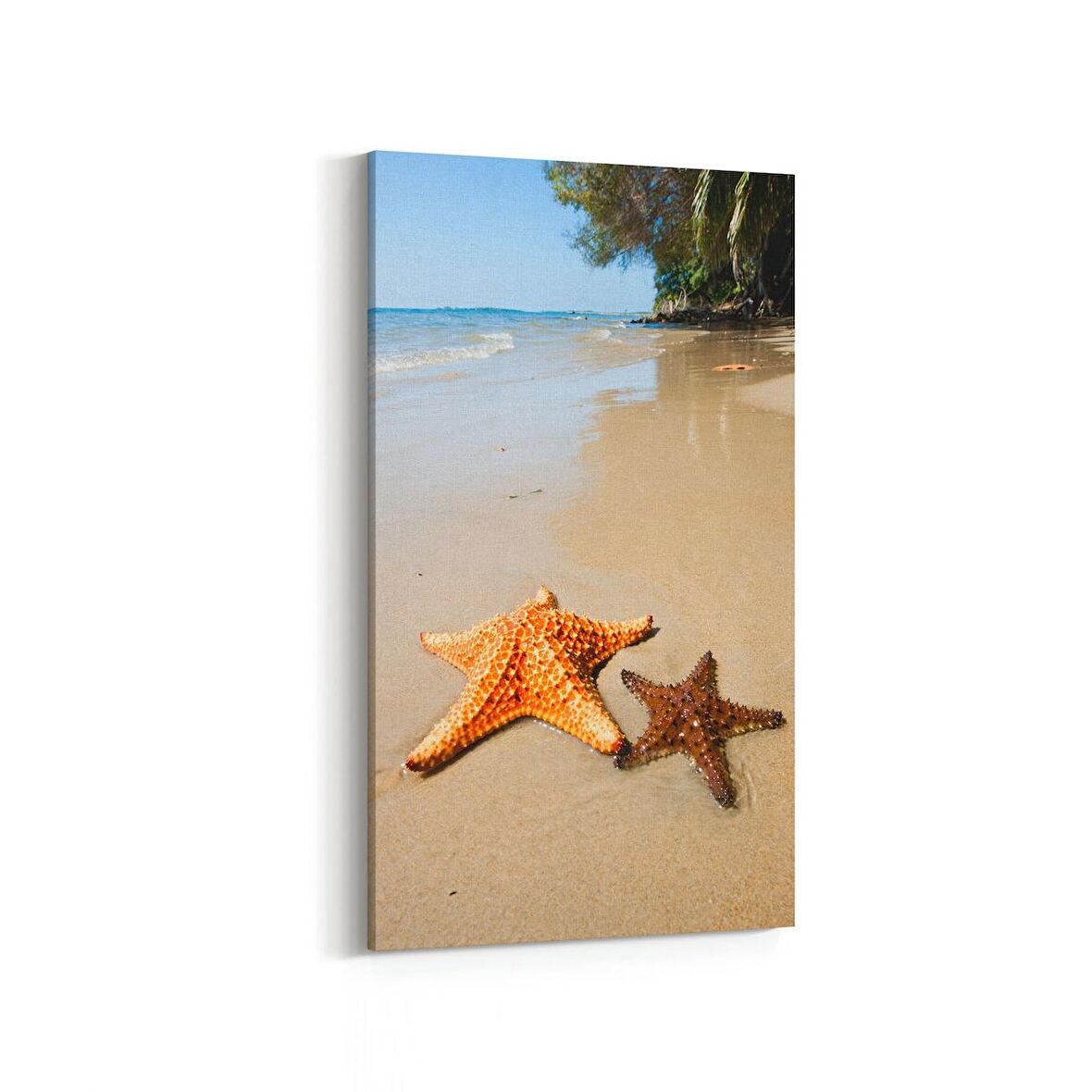 Olla 16347DD Kumsal / Sahil Görseli Dikey Dar Kanvas Tablo (Ölçü: 30X60)