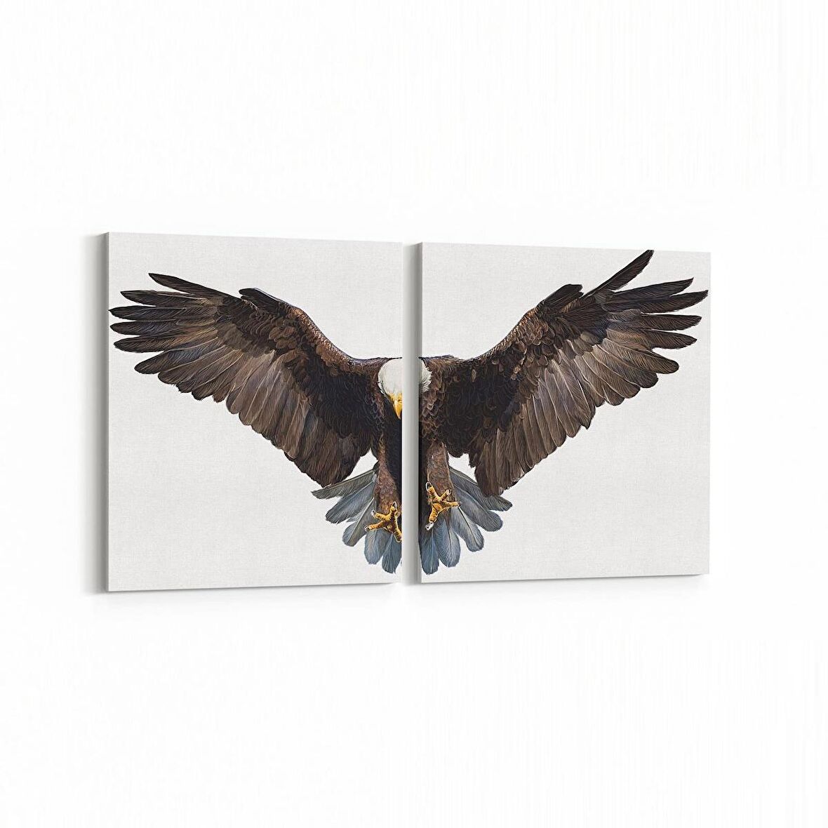 Olla 12592K2Y Hayvanlar Alemi Görseli Kare 2'li Yatay Kanvas Tablo (Ölçü: 105X50)