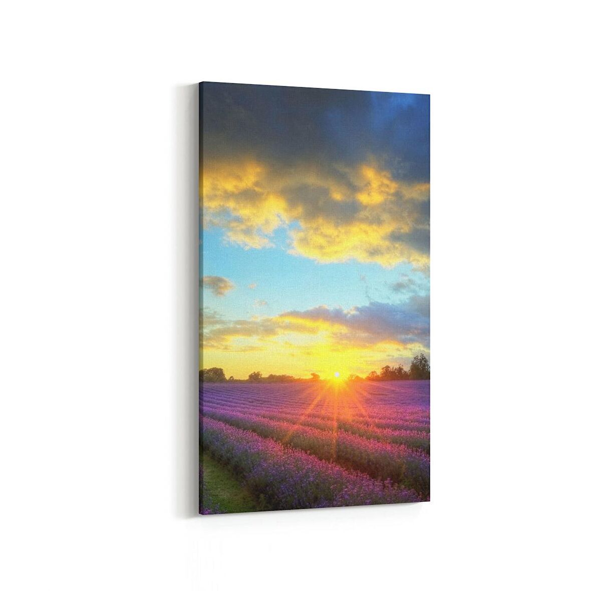 Olla 16112DD Günbatımı Görseli Dikey Dar Kanvas Tablo (Ölçü: 60X120)