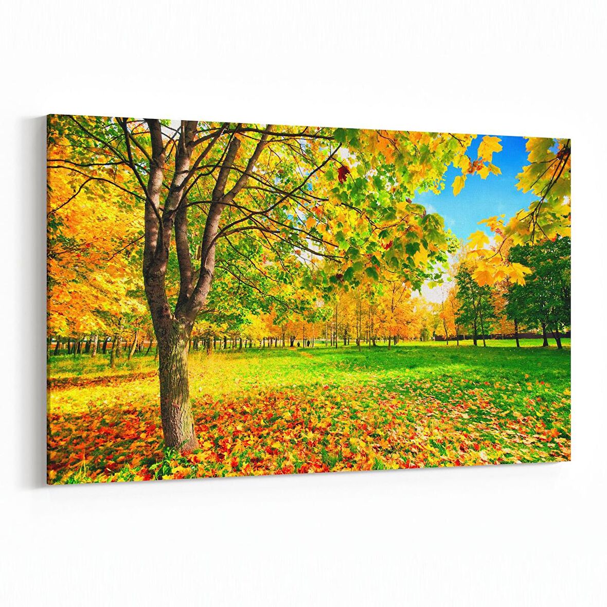 Olla 13174Y Doğa / Manzara Görseli Yatay Kanvas Tablo (Ölçü: 30X20)