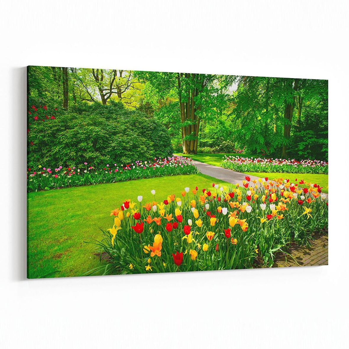 Olla 13668Y Doğa / Manzara Görseli Yatay Kanvas Tablo (Ölçü: 70X50)