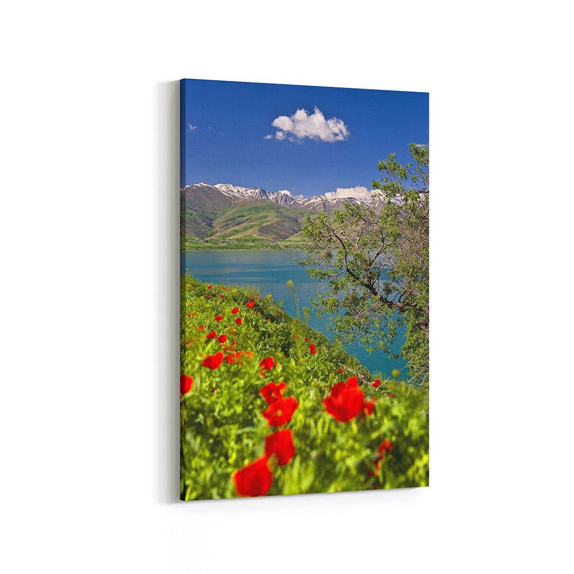 Olla 13414D Doğa / Manzara Görseli Dikey Kanvas Tablo (Ölçü: 100X150)