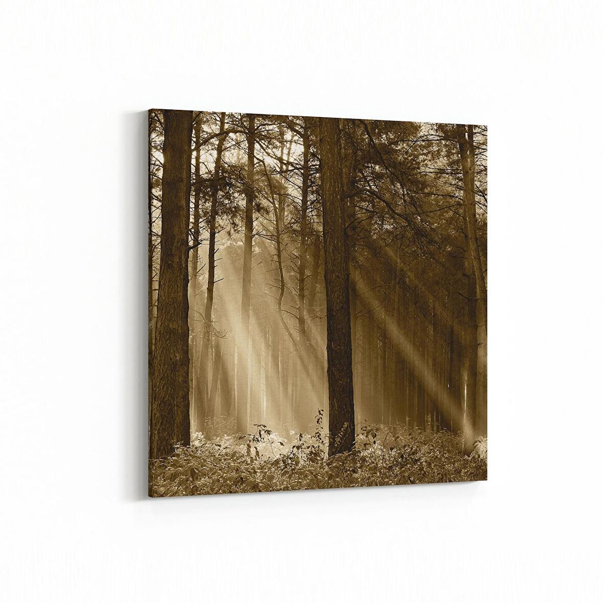 Olla 13430K Doğa / Manzara Görseli Kare Kanvas Tablo (Ölçü: 25X25)