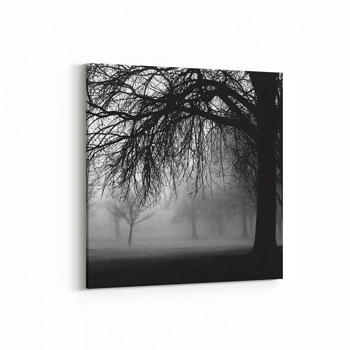 Olla 13652K Doğa / Manzara Görseli Kare Kanvas Tablo (Ölçü: 100X100)