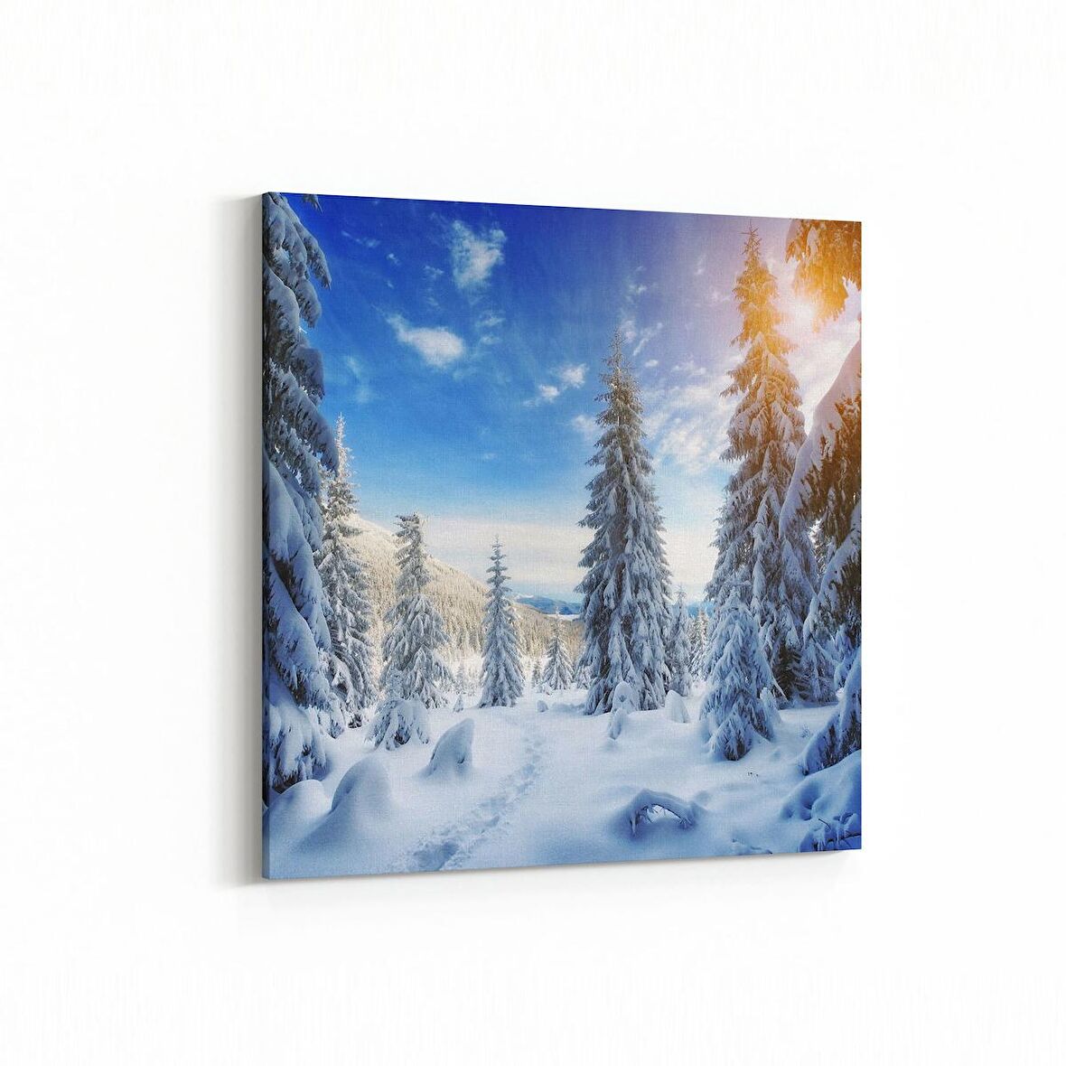 Olla 13928K Doğa / Manzara Görseli Kare Kanvas Tablo (Ölçü: 25X25)