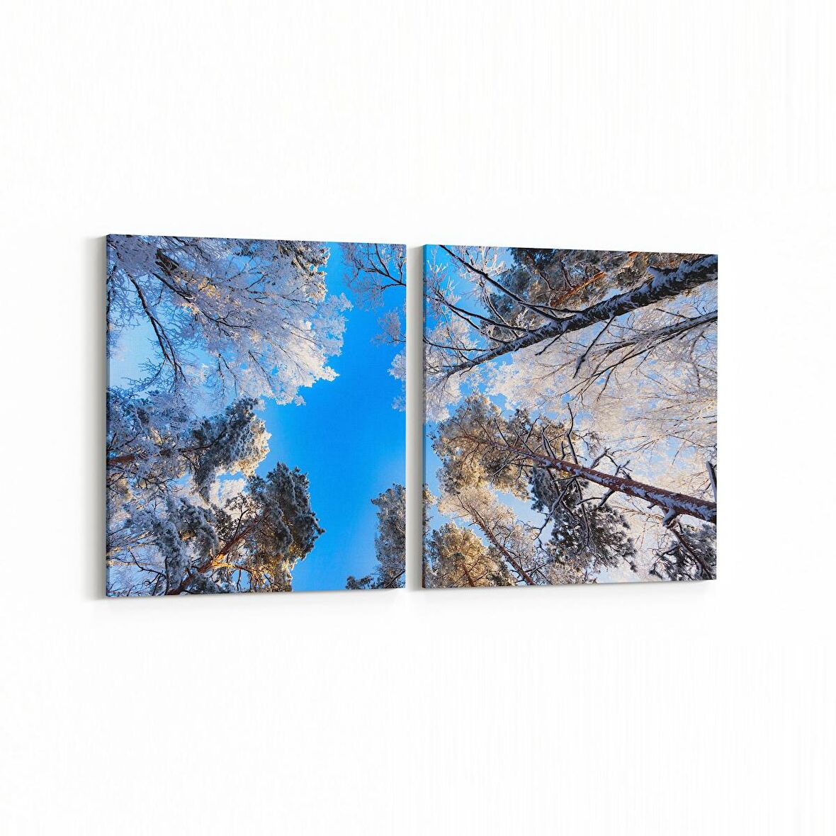 Olla 10614K2Y Ağaç Görseli Kare 2'li Yatay Kanvas Tablo (Ölçü: 125X60)