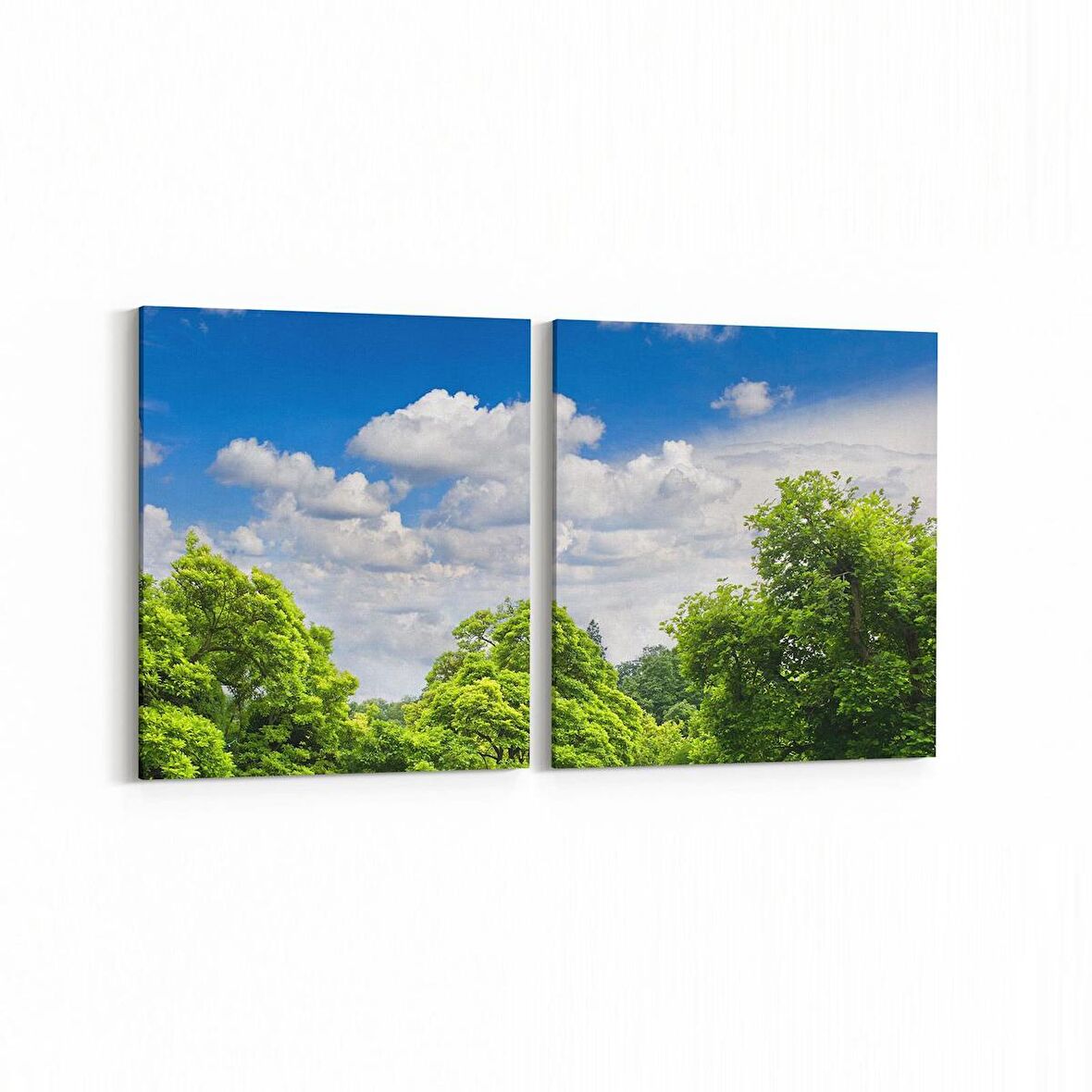 Olla 14562K2Y Doğa / Manzara Görseli Kare 2'li Yatay Kanvas Tablo (Ölçü: 125X60)