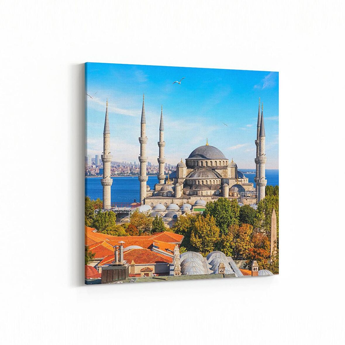 Olla 18170K Yapı Görseli Kare Kanvas Tablo (Ölçü: 25X25)