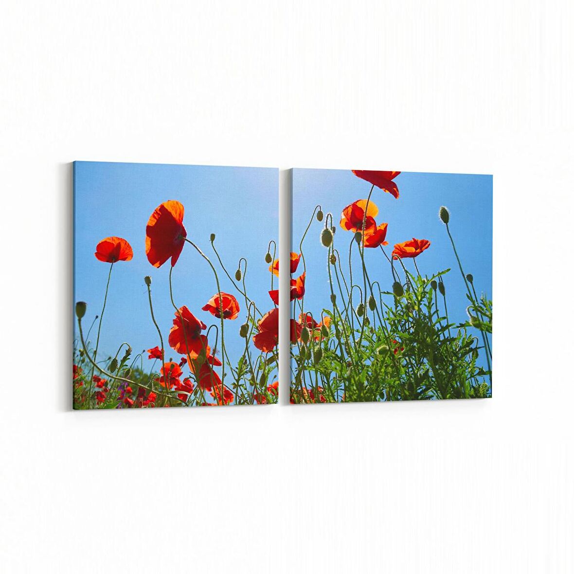 Olla 10495K2Y Ağaç Görseli Kare 2'li Yatay Kanvas Tablo (Ölçü: 105X50)