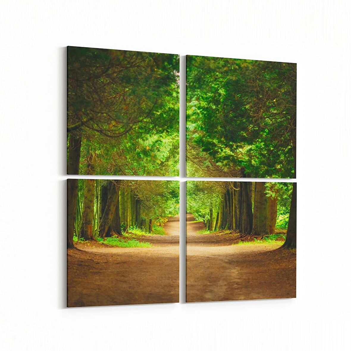 Olla 13793K4 Doğa / Manzara Görseli Kare 4'lü Kanvas Tablo (Ölçü: 145X145)