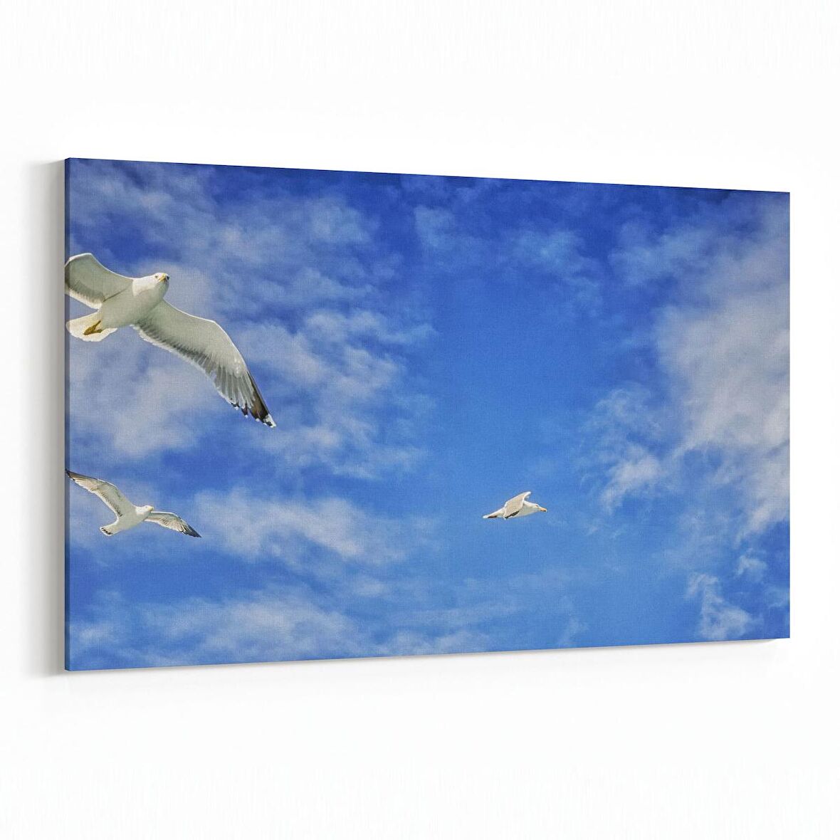 Olla 15890Y Gökyüzü Kuşlar Görseli Yatay Kanvas Tablo (Ölçü: 45X30)