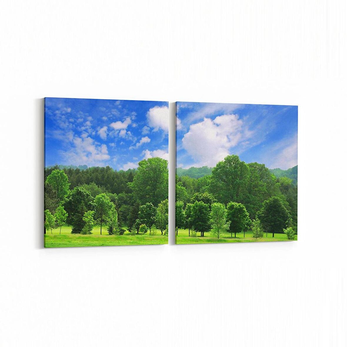 Olla 13859K2Y Doğa / Manzara Görseli Kare 2'li Yatay Kanvas Tablo (Ölçü: 125X60)