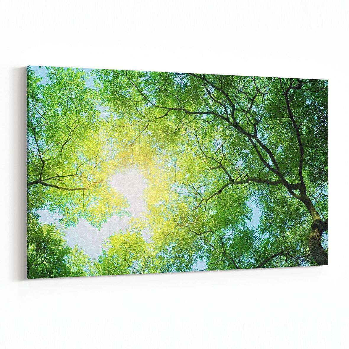 Olla 10886Y Ağaç Görseli Yatay Kanvas Tablo (Ölçü: 120X80)