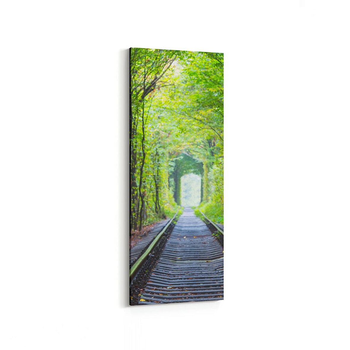 Olla 13902DI Doğa / Manzara Görseli Dikey İnce Kanvas Tablo (Ölçü: 40X120)