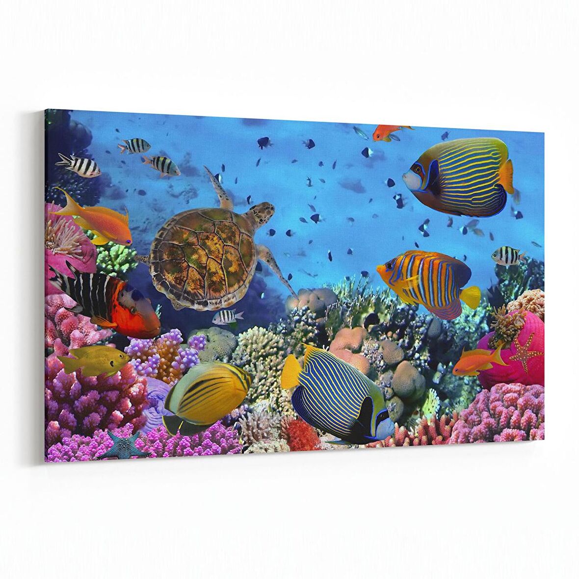 Olla 12141Y Akvaryum / Balık Görseli Yatay Kanvas Tablo (Ölçü: 30X20)