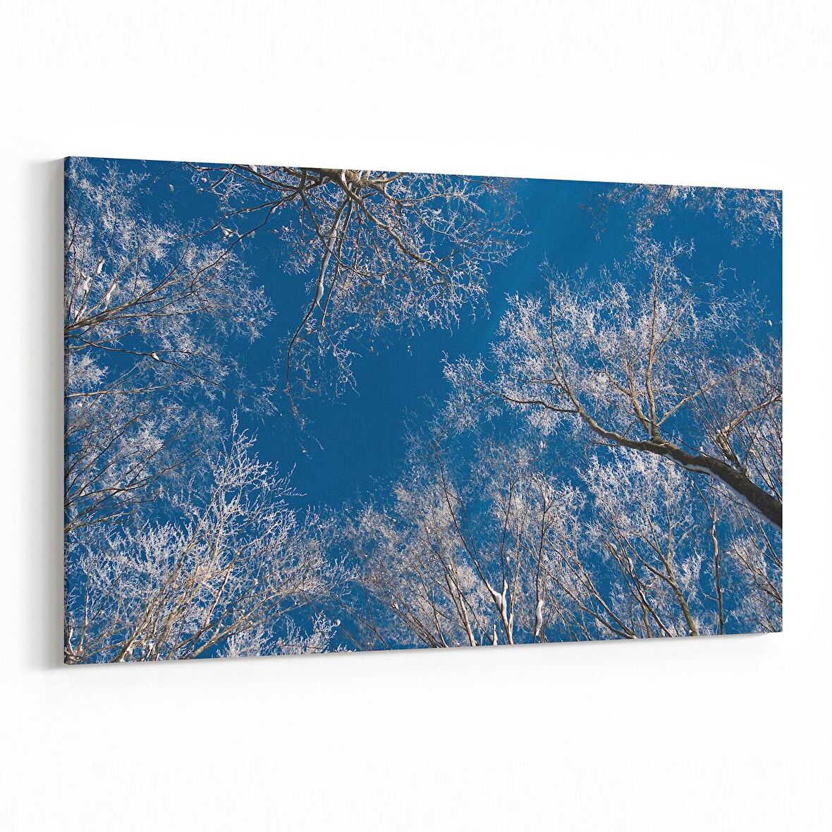 Olla 10499Y Ağaç Görseli Yatay Kanvas Tablo (Ölçü: 70X50)