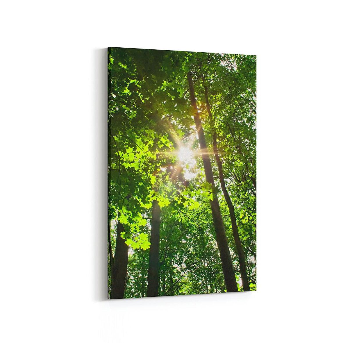 Olla 13710D Doğa / Manzara Görseli Dikey Kanvas Tablo (Ölçü: 20X30)