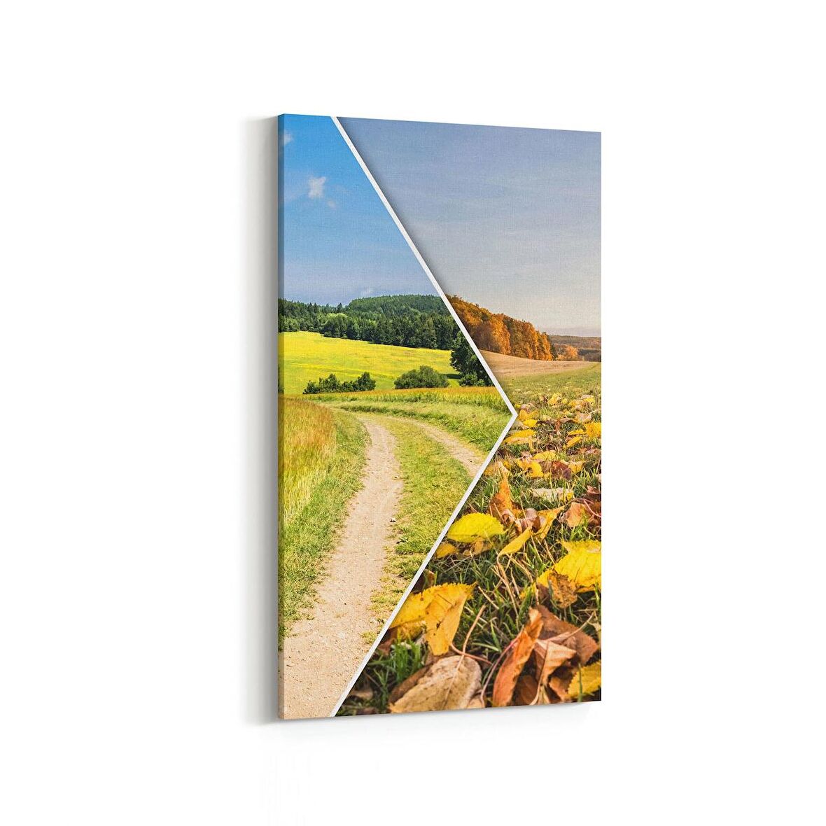 Olla 14510DD Doğa / Manzara Görseli Dikey Dar Kanvas Tablo (Ölçü: 60X120)