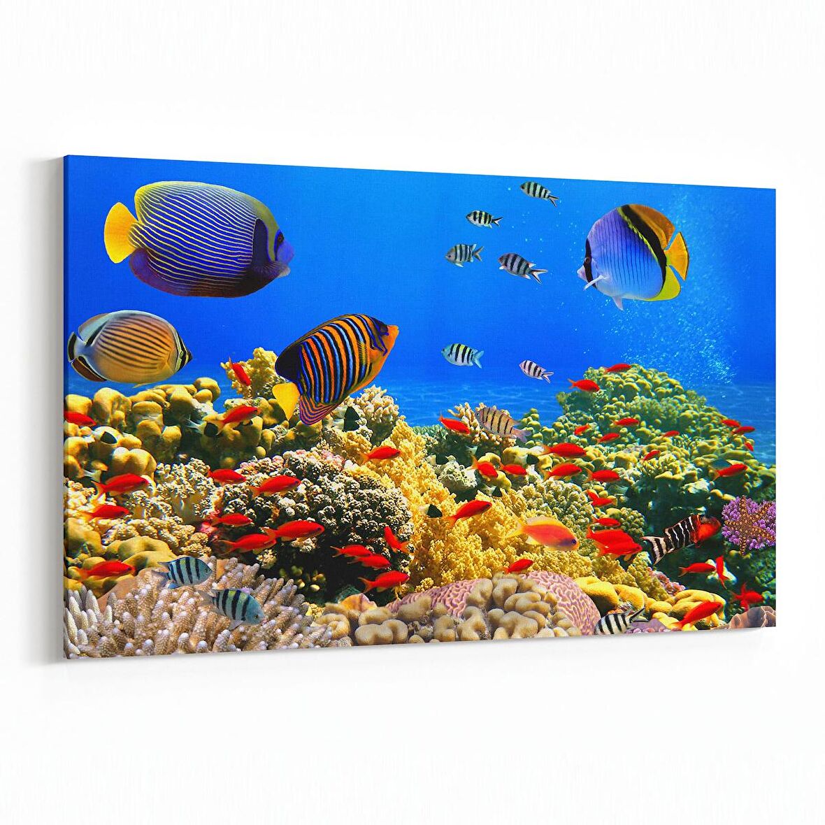 Olla 12060Y Akvaryum / Balık Görseli Yatay Kanvas Tablo (Ölçü: 30X20)