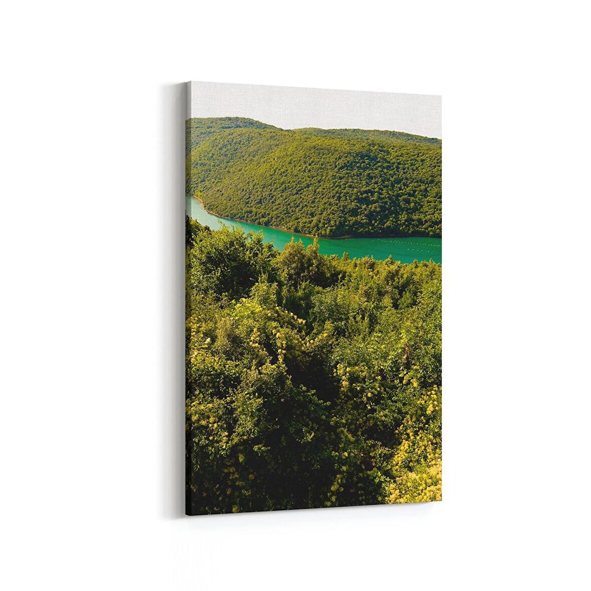 Olla 13698D Doğa / Manzara Görseli Dikey Kanvas Tablo (Ölçü: 60X90)