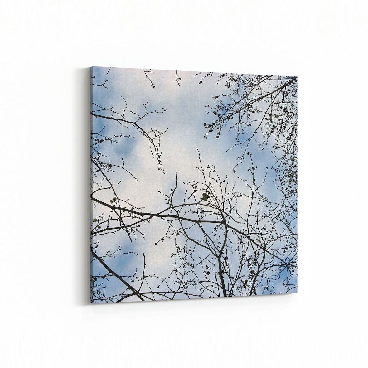 Olla 10927K Ağaç Görseli Kare Kanvas Tablo (Ölçü: 100X100)