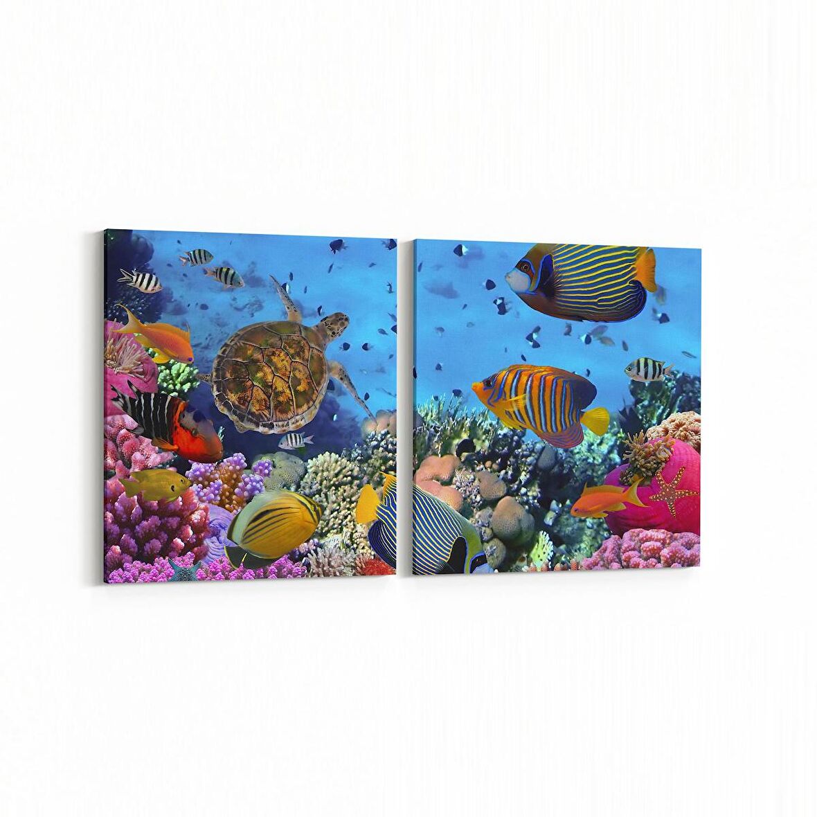 Olla 12141K2Y Akvaryum / Balık Görseli Kare 2'li Yatay Kanvas Tablo (Ölçü: 105X50)
