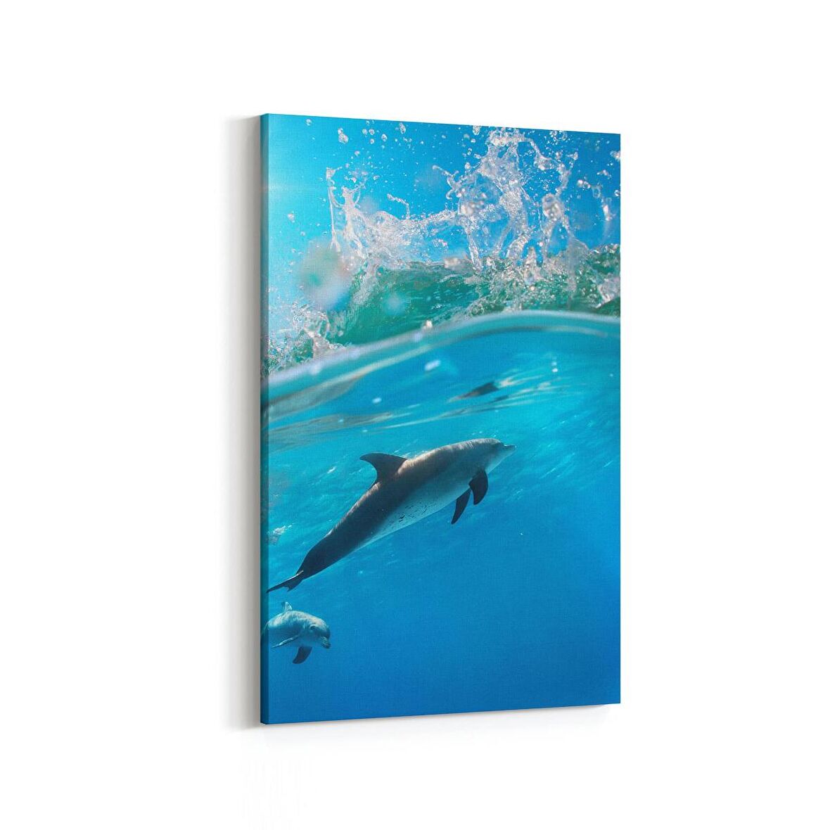Olla 12917D Deniz / Okyanus Görseli Dikey Kanvas Tablo (Ölçü: 60X90)